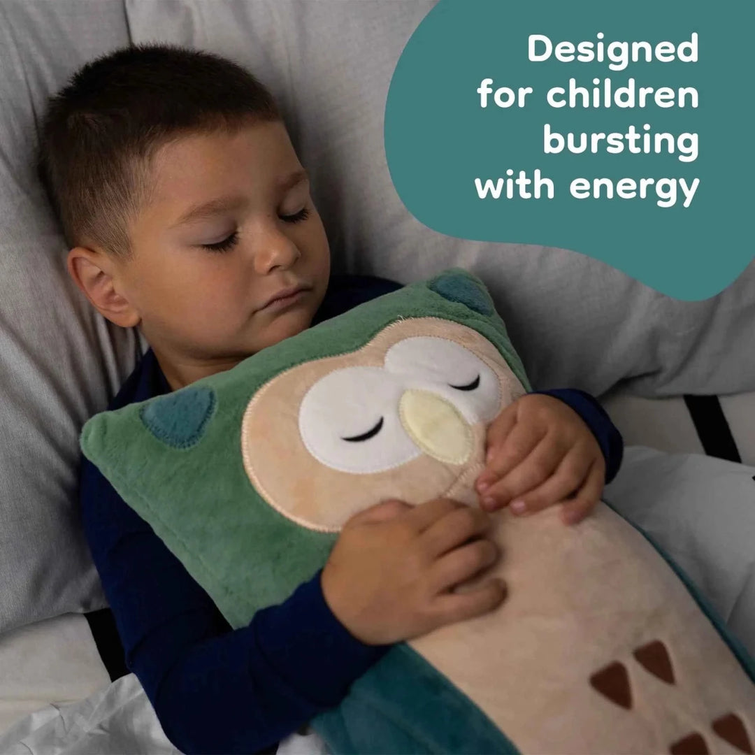 NEW! Calming Sleep Companion - Zigzag the Owl - 