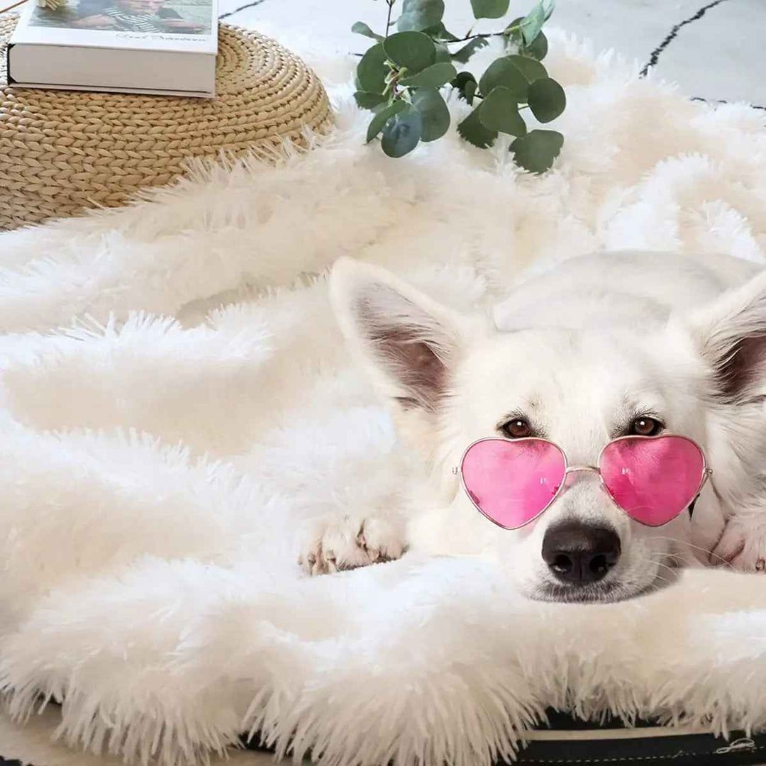 BETTER SLEEP E-GIFT CARD - BETTER SLEEP - Canada's Premium Weighted Blanket